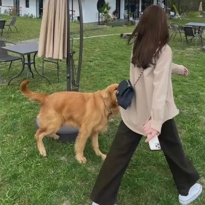 情战巴西